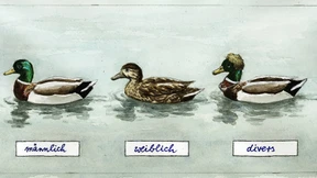 Der Staat vor der Zukunftsaufgabe Gleichberechtigung