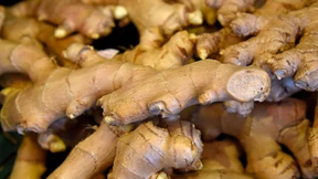 Der wunderbare Wurzelstock