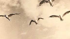 Es gibt nur eine Sonne