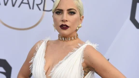 Lady Gaga bietet nach Entführung ihrer Hunde eine halbe Million Dollar Belohnung