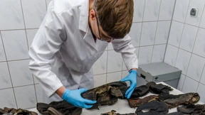 Die Hüterin der hunderttausend Schuhe