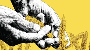 Jeder könnte den Bauern helfen