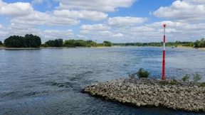 Im Rhein vermisster Sechsjähriger tot
