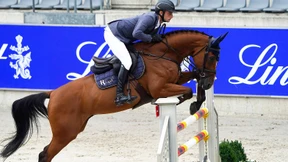 Pferdetransporte gestrandet