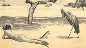 Alles für wahre Fans