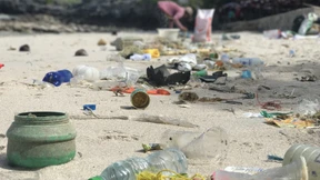 Bis 2050 droht Vervierfachung von Plastikmüll in Ozeanen