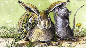 Das Rückgrat der SPD