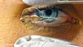 Wer schwimmt denn da?