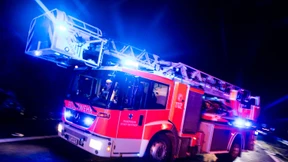 30 Feuerwehrleute ziehen Pferd aus Bachlauf