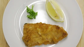 Grüne erwägen Mindestpreis für Fleisch