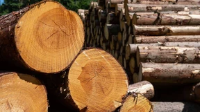 Festmeter jetzt ohne Festpreise