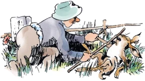 Immer das arme Karnickel