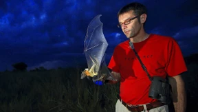 Humboldt und der digitale Weltorganismus