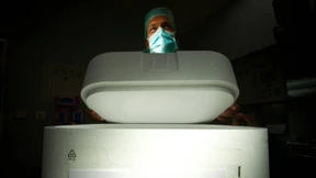 Des einen Leben ist des anderen Tod