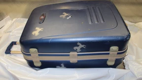 Verdächtiger im Fall der Koffer-Leichen festgenommen