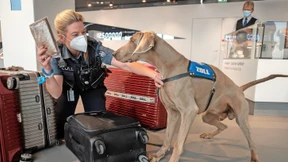 Was der Zoll so alles findet