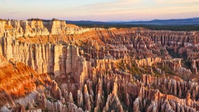 Ehepaar stürzt in den Tod – Katze überlebt