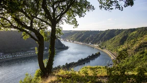 Ruine wird zum Schmuckstück