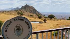 Herber Rückschlag für Südafrikas Safari-Lodges
