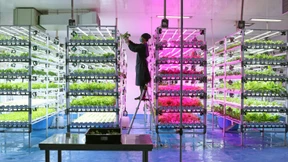 Wann beginnt die Zukunft?