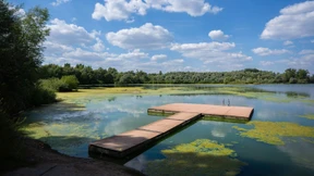 Blaualgen auf Reisen