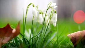 Hier wird es am Wochenende bis zu zwanzig Grad warm