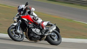 Knallrot vor weißblauem Hintergrund