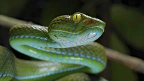 Die übersehene Gesundheitskrise – und ihre Lösung