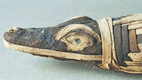 Der kuriose Krokodilkult im alten Ägypten