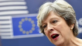 Der Zorn der Brexiteers