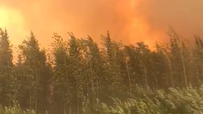 Gefahr für weitere Feuer in Alaska so hoch wie nie