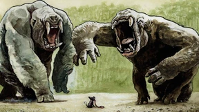 Unabhängig - und dann?