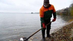 Hochansteckende Geflügelpest bei Plön nachgewiesen