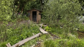 Mehr Wildnis denn je