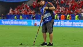 Der Rasen ist das Frankfurter Thema