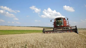 Getreide kommt per Zug