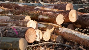 Kampf gegen Kiesabbau