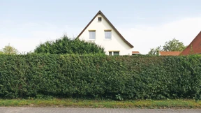 Noch werden Immobilien günstiger