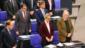 Schäuble maßregelt AfD