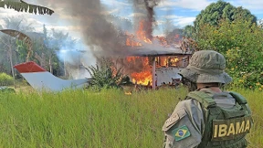 Goldgräber auf der Flucht