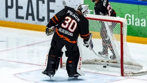 „Das ist ein wirtschaftliches Desaster“