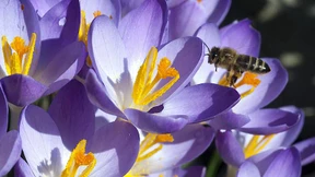 Eine Bühne für das große Summen