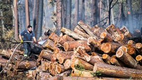 Feuer an früherem Munitionsdepot gelöscht