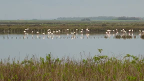 Gescheiterte Weltmacht begnügt sich mit Fischfang