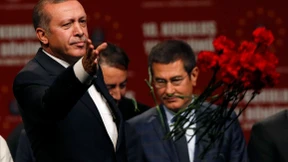 Der unfehlbare Löwe