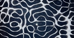 Trommeln für die grüne Zukunft