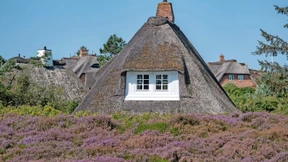 „Das preiswerteste, was wir dieses Jahr verkauft haben, war eine Ein-Zimmer-Wohnung“