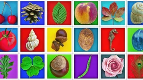 Diese Bilder hat sich jeder gemerkt