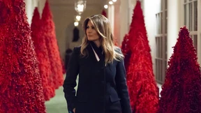 Oh Tannenbaum, wie rot sind deine Blätter?