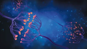 Stand und Perspektiven für die Neurologie